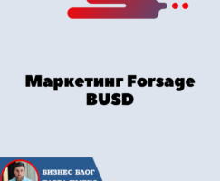 4 разных маркетинга матрица Forsage BUSD