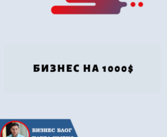 Бизнес на 1000$